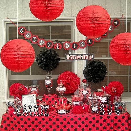 BEISHIDA 10 Inch Red Paper Lanterns 6 Packs Hanging Round Chinese Lantern
