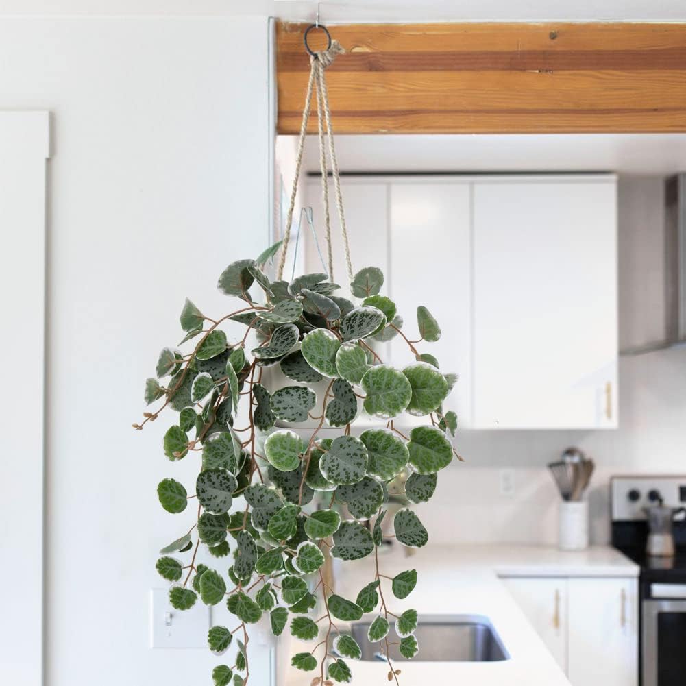 Ceramic Pot Faux Draping Vine Plants / Green
