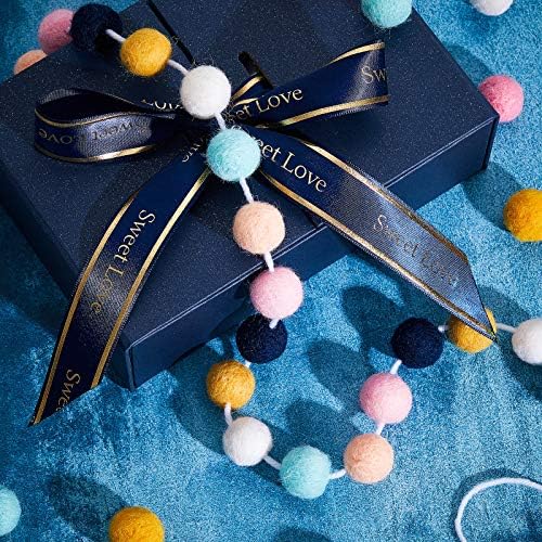 WILLBOND 3 Pieces Felt Pom Ball Garland,Cute Colors