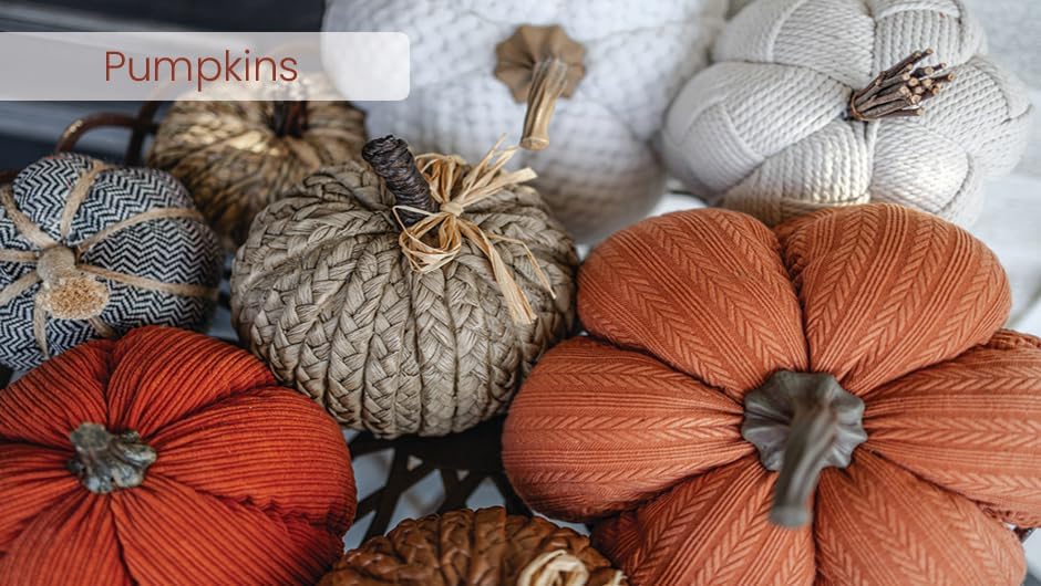 Boston International Pumpkin Décor Autumn & Fall Decorations, Large, Woven Cream