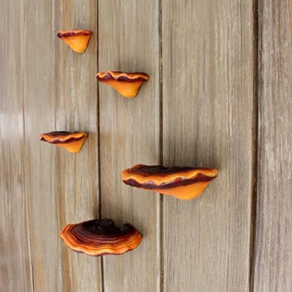 Mushroom Shelf Wall Decor Small Wall Shelf Corner Wall Decor Resin / Set of 5