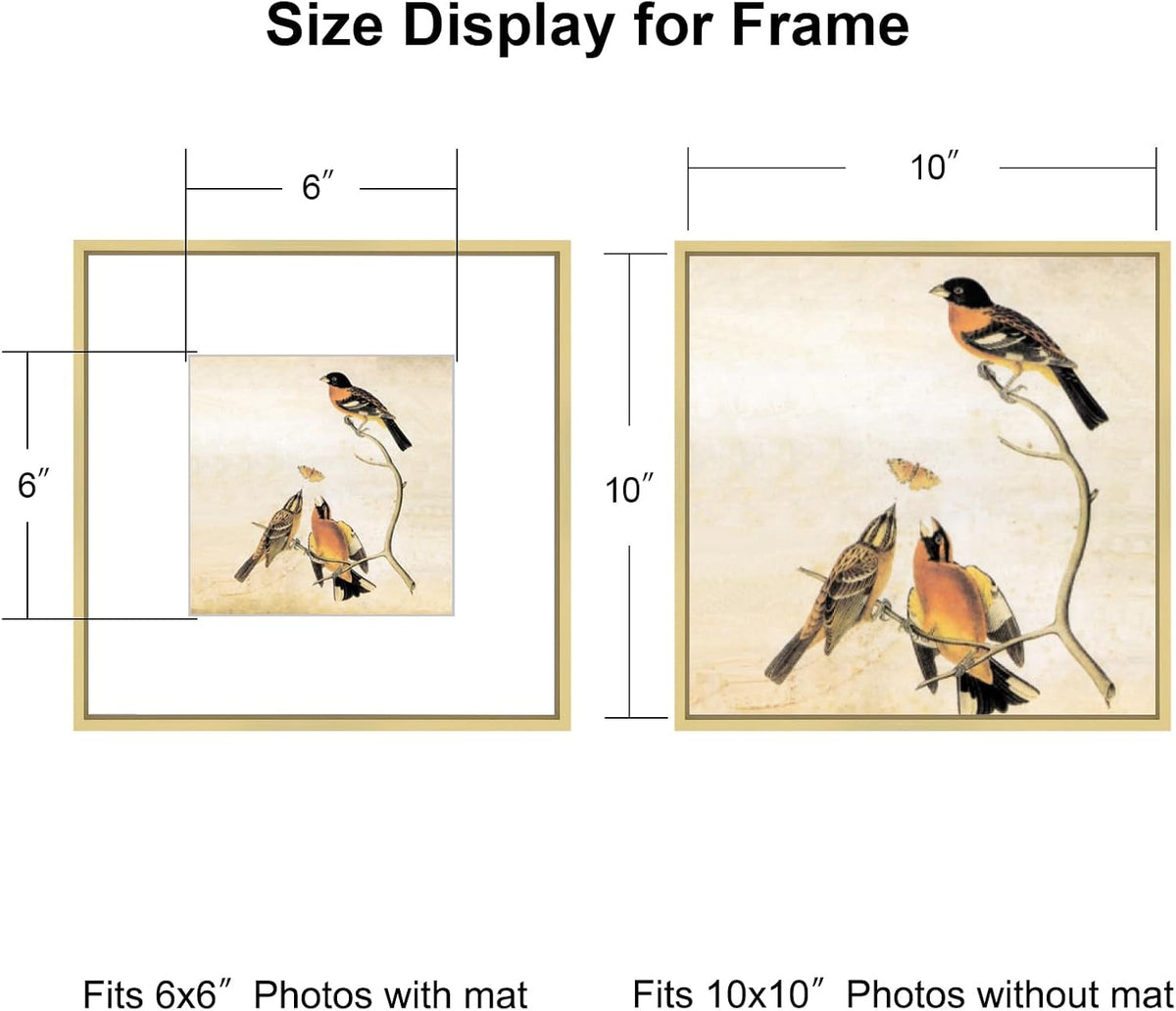 BKABOT 10x10 Brass Aluminum Picture Frame Fits 6x6 with Mat HD Glass 3 Pack | Thin brushed aluminum picture frames