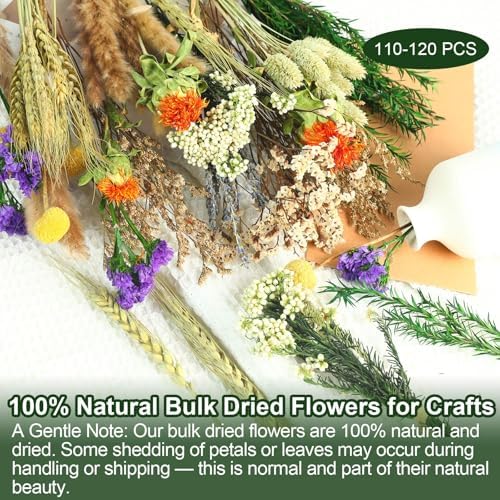 13 Kinds Mini Dried Flower Bouquet, 5-8" Boho Brown for Crafts, Vase Filler