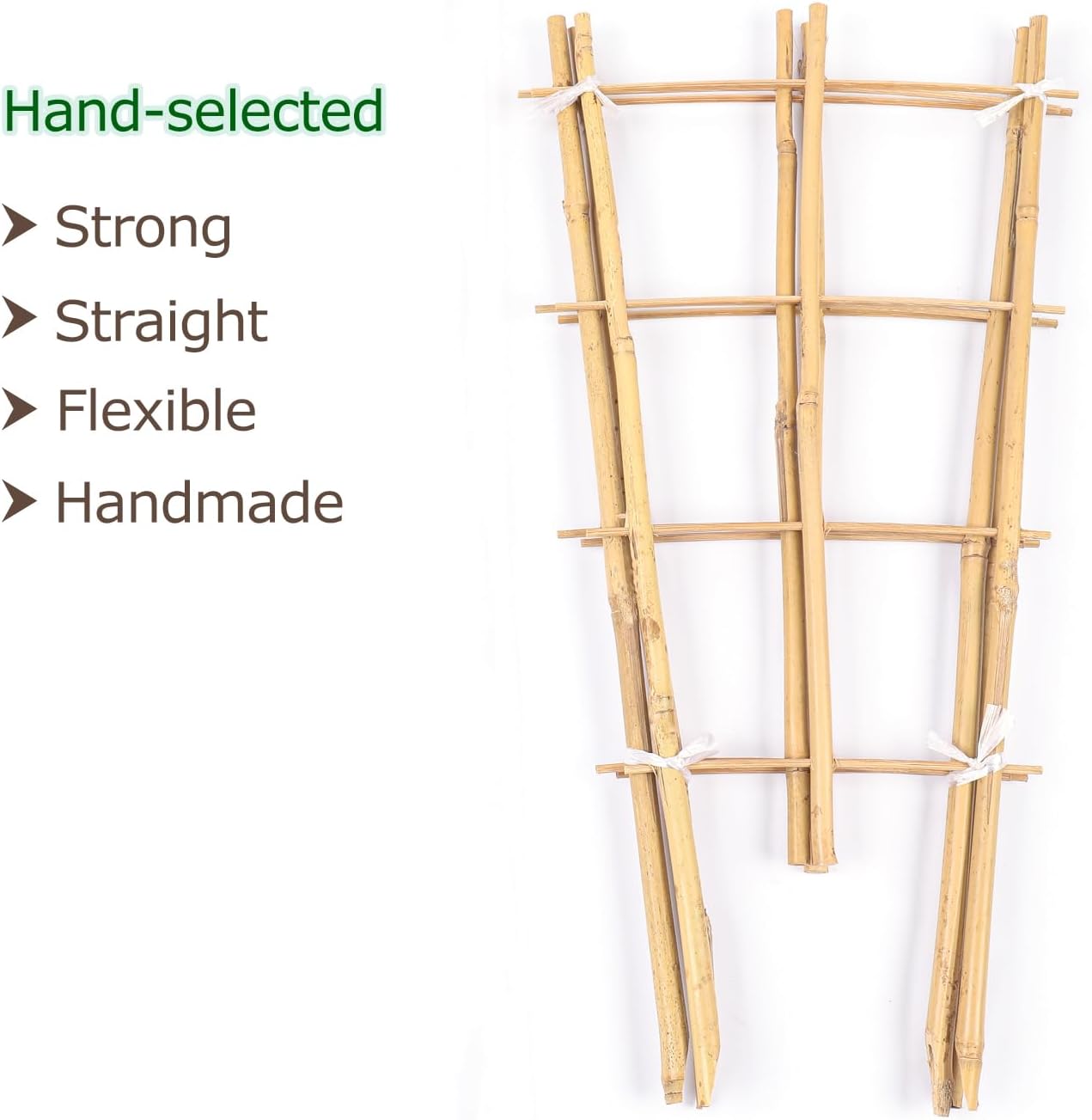 Cambaverd Bamboo Trellis, 24in Fan-Shaped Trellis for Potted Plants 3 Pack | Natural Small Plant Trellis for Climbing
