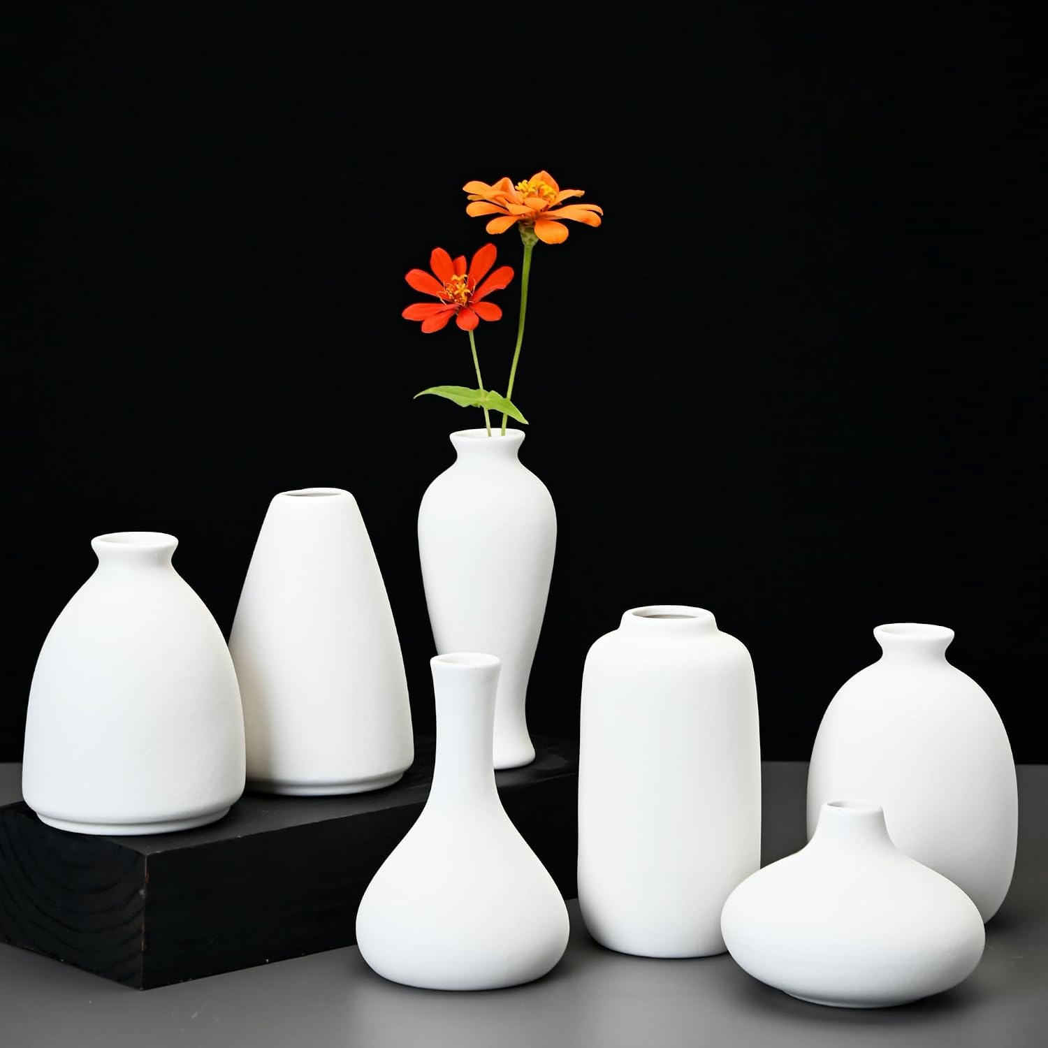 Ceramic Bud Vases for Pampas Grass Flowers / White / Set of 9