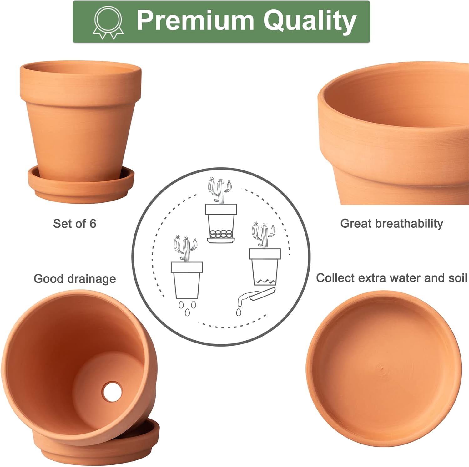 Tray / Flower Pots / 4 Inch / Set of 6