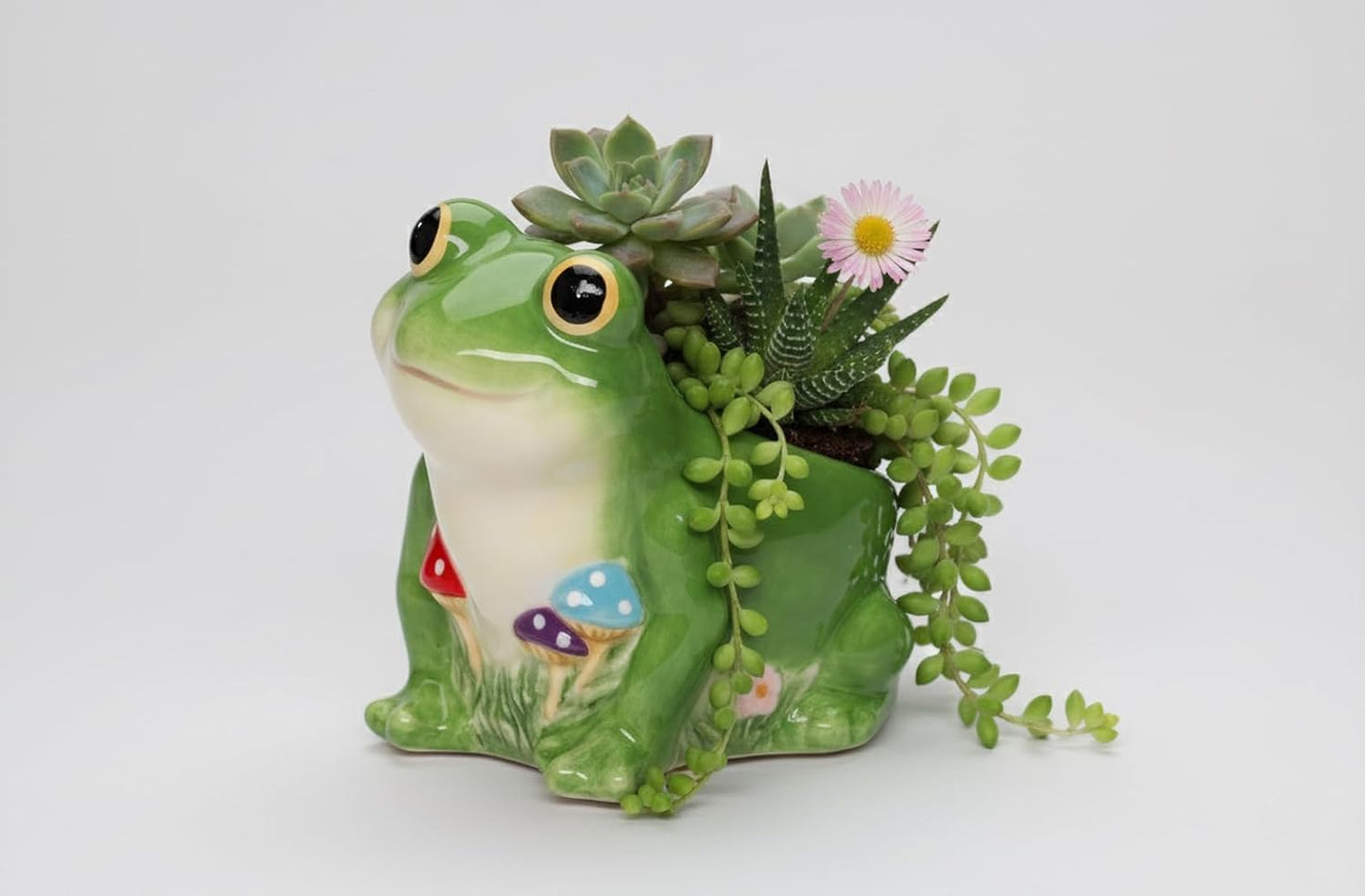 Fine Ceramic Frog and Forest Mushrooms Planter Pot Candy Dish Bowl