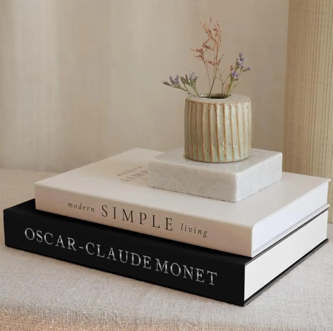 Modern Minimalist Faux Book / E2 / Set of 2