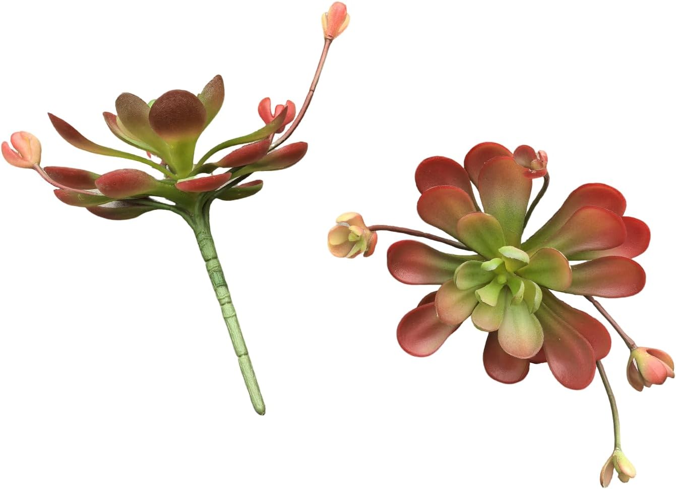 Artificial Succulent Plants / Red-a / Set of 2