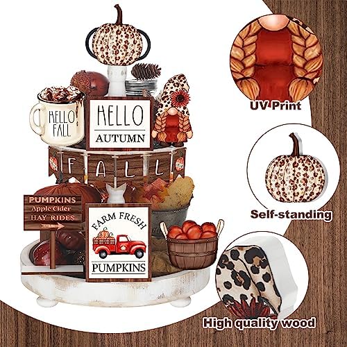 FairySandy 13 Pcs Fall Tiered Tray Decor Set Pumpkin Gnome Hello Autumn