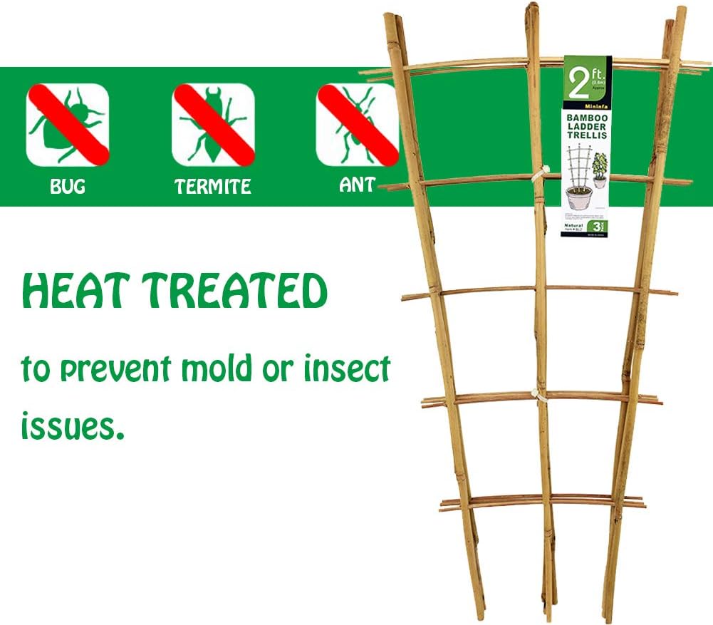 Natural Bamboo Trellis 24 Inches Tall, Mininfa Garden Ladder Trellis, Plant for Climbing Plants, Vegetables, Pots - 3