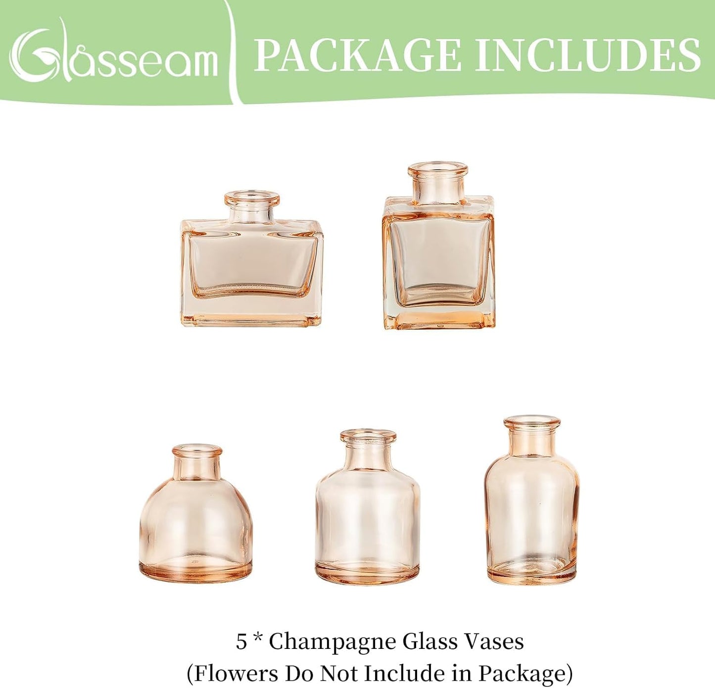 Glass Bud Vase / Champagne / Set of 5