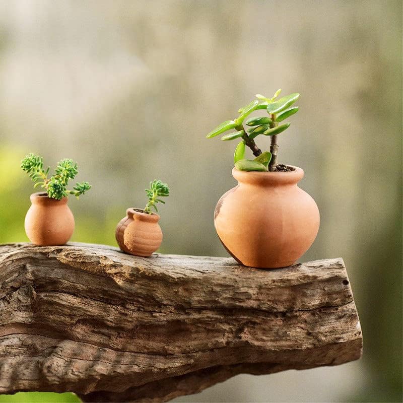 Miniature Tiny Clay Pots Pottery Planter Mini Flower Terra Cotta Pots for DIY Garden Plants / Set E