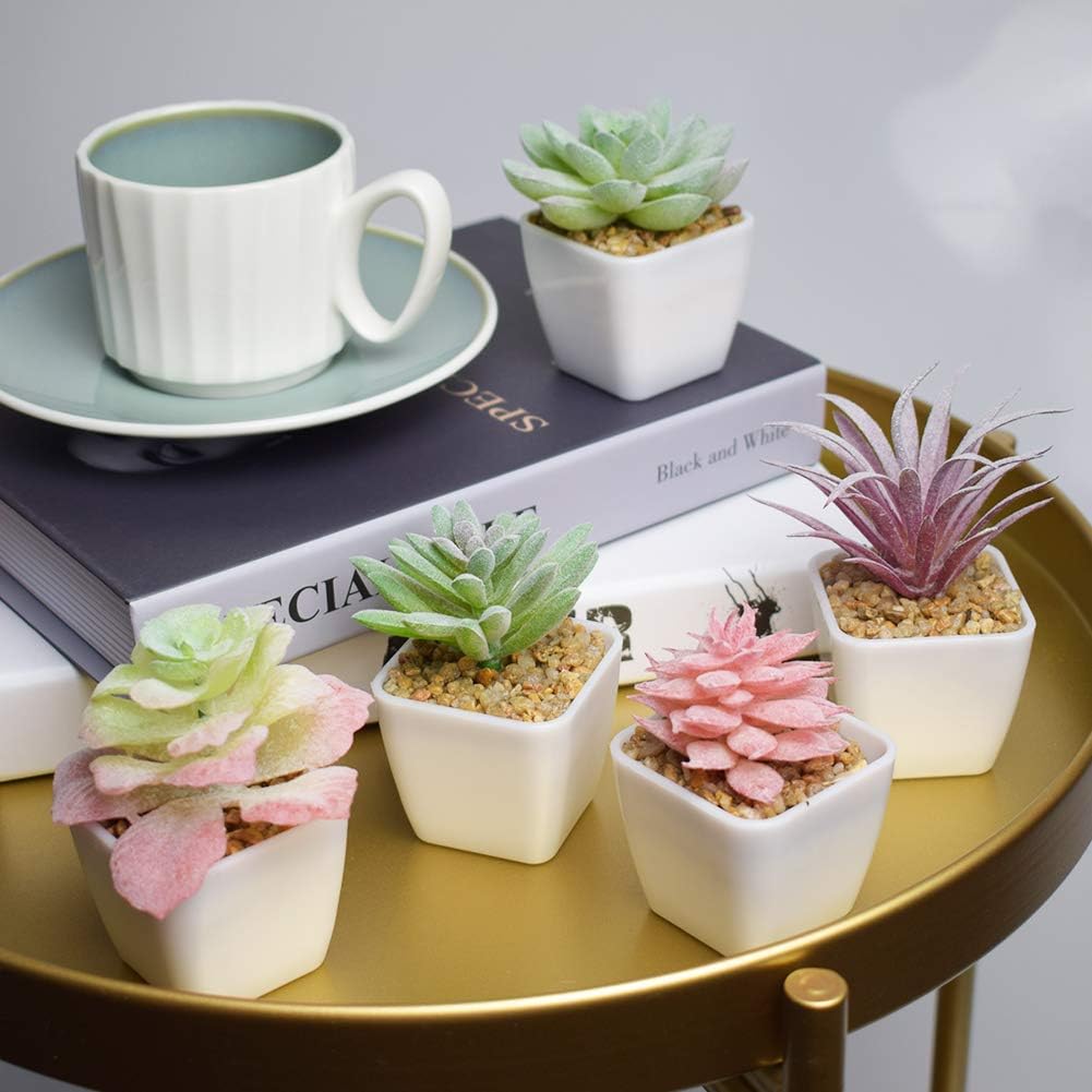 Artificial Faux Succulents in Pots Fake Plants Plastic Arrangement Planter Small Mini / White-12