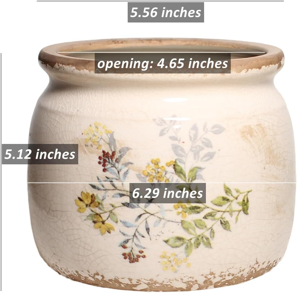 Cottage Rustic Clay Ceramic Tabletop Flower Pots / Yellow Sage