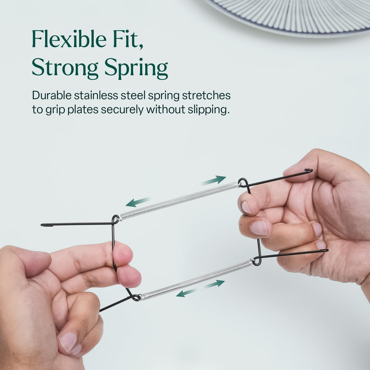 WINSOME Invisible Plate Hangers for Wall | Decorative Dish Display Holders Hanging Wires Spring Hook Holder Fit to Hang