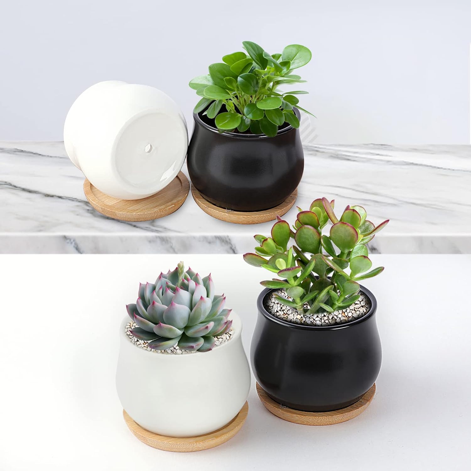 Mini Ceramic Flower Planter Pot / Black,white / 2.6 Inch / Set of 12