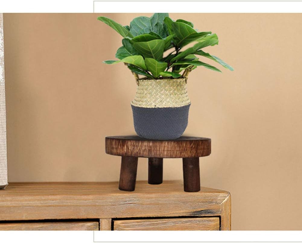 Plant Riser Stands / S - 14cm / Wood