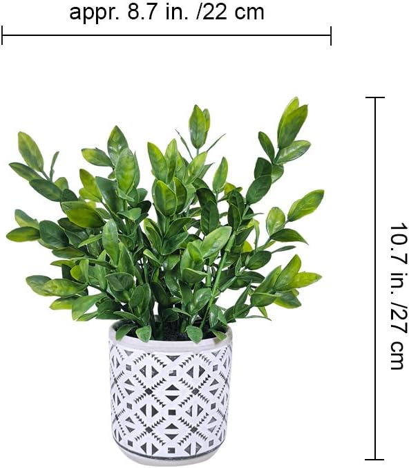Artificial Potted Plants Potted Eucalyptus Plant Artificial Grass in Modern Concrete / Set of 2