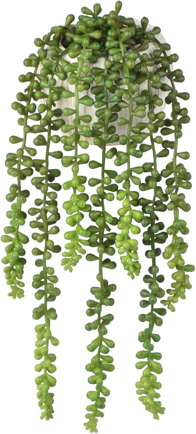 Succulents Plants Artificial / Ceramic Pot Artificial Faux String of Pearls Suitable