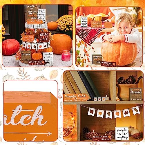 BBTO 19 Set Fall Tiered Tray Decor Rustic Farmhouse 3D Layered Wooden Signs