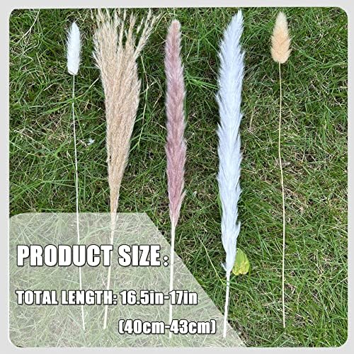 Pampas Grass Boho Home Decor 150Pcs 17-inch Natural Dried Flowers-Pampas Grass Contains Bunny Tails White Pampas Brown Pampas. Boho Decor for Farmhouse Wedding Boho Wall Bathroom Office Kitchen