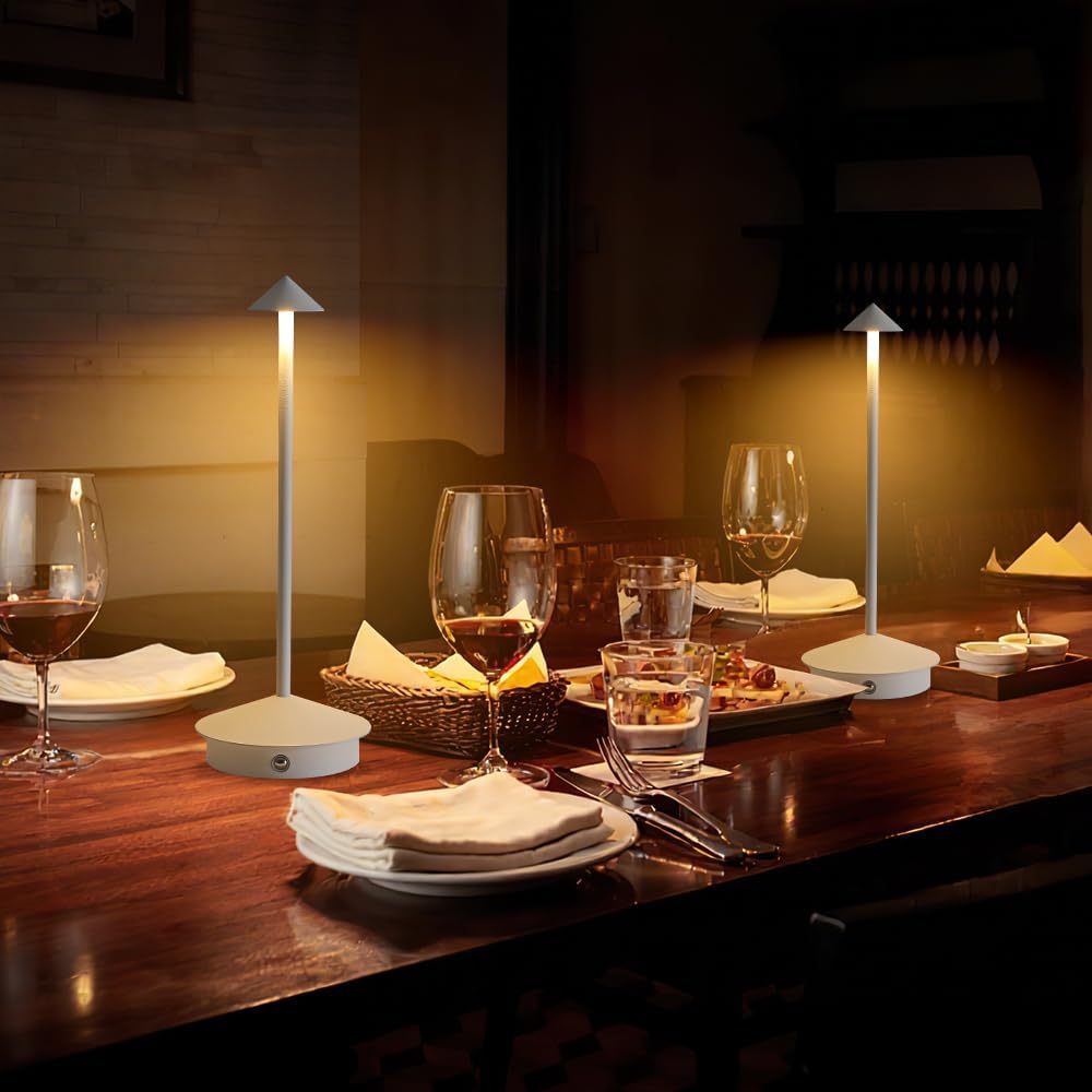 2 Pack LED Rechargeable Cordless Table Lamps,Portable Outdoor 5000mAh Battery Operated Table Light Touch Control 3