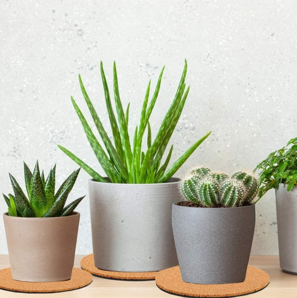 4/6/ Cork Plant Mats / 4-6-8 Inch / 8 Inch / Set of 10