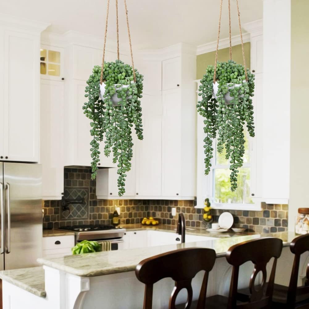 plants Fake Hanging / String of Pearl