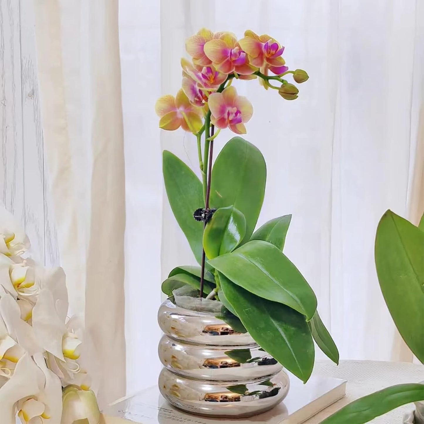 Ceramic Plant Pot Indoor / Silver / 4.7inch / 4.5 Inch