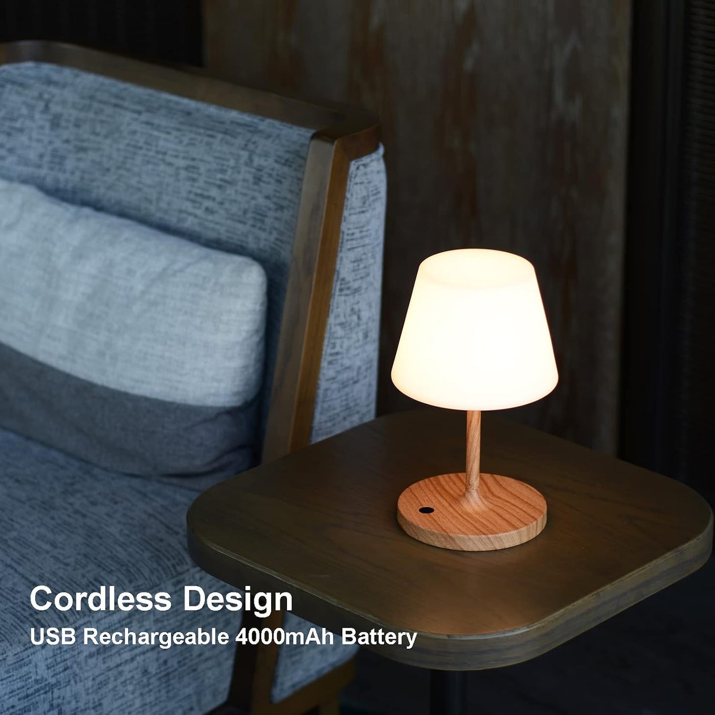 Rechargeable Outdoor Lamp, IP44 Waterproof Touch Dimmable LED Light | 4000mAh battery, 2700K warm light with PE shade