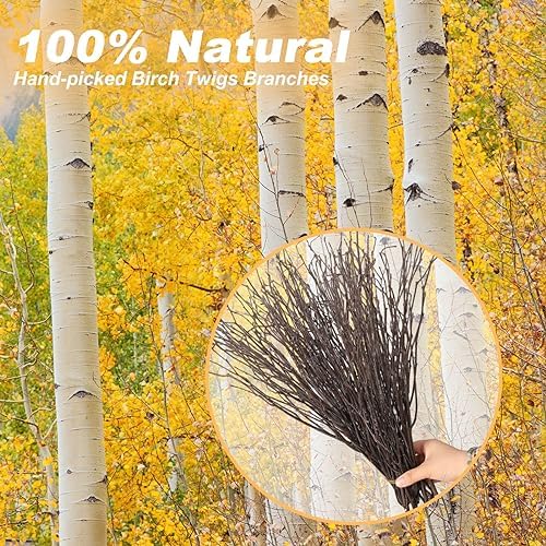 60Pcs Real Dried Birch Twigs Branches 16 Natural Decorative Birch Branches