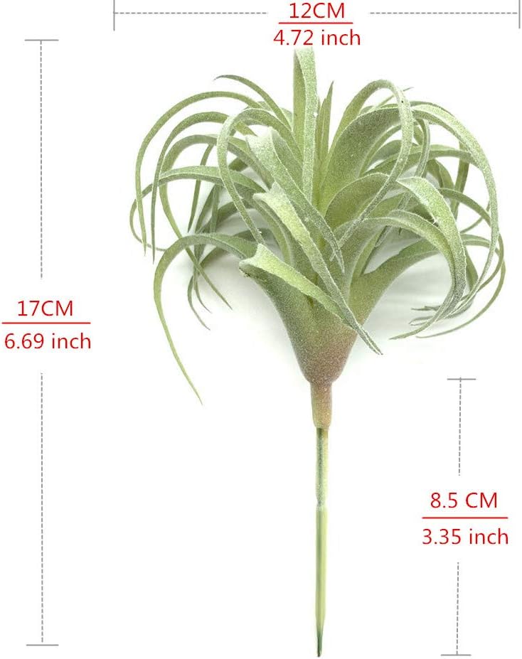 Artificial Succulents Plants Real Touch Lifelike Succulants Plants / Flocking Air Plant / Set of 2