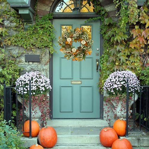 WreathDream Fall Wreaths for Front Door Autumn Wreath for Porch Home Decor