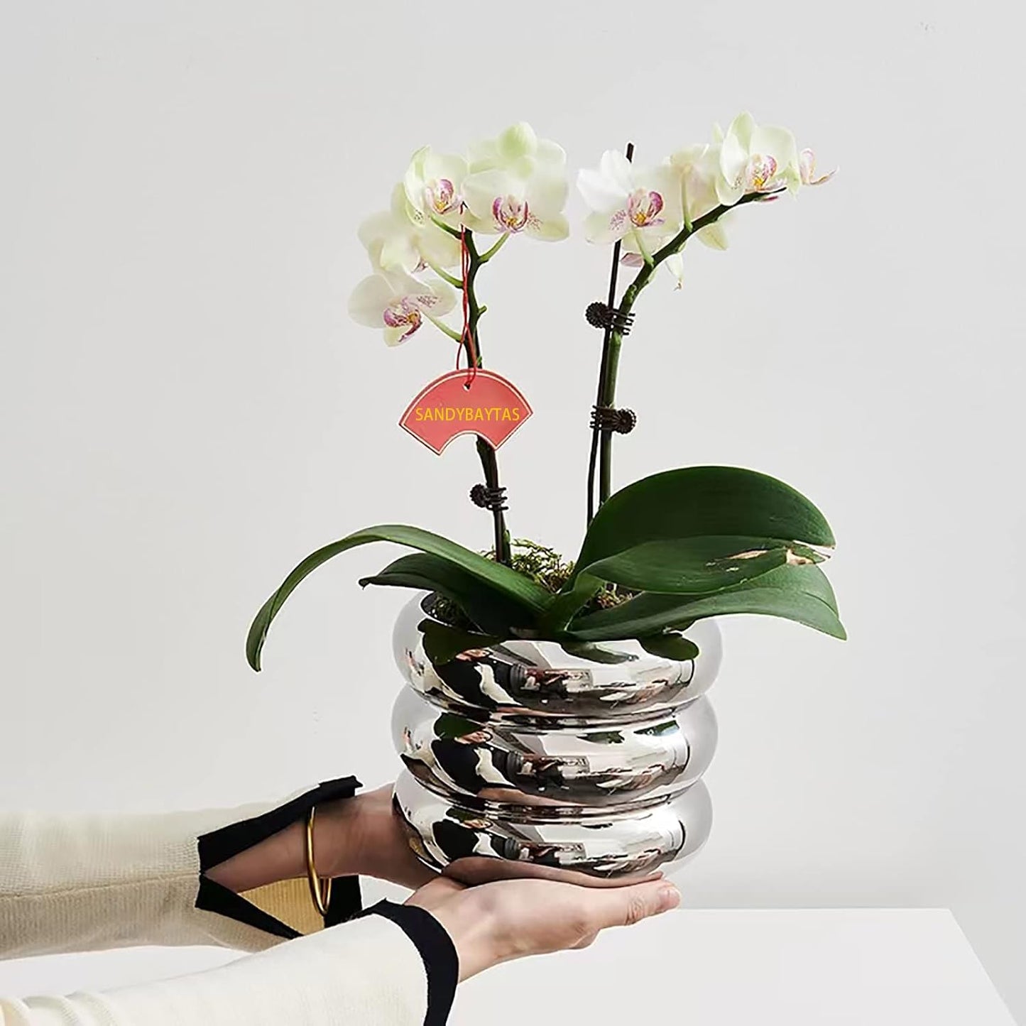 Ceramic Plant Pot Indoor / Silver / 4.7inch / 4.5 Inch