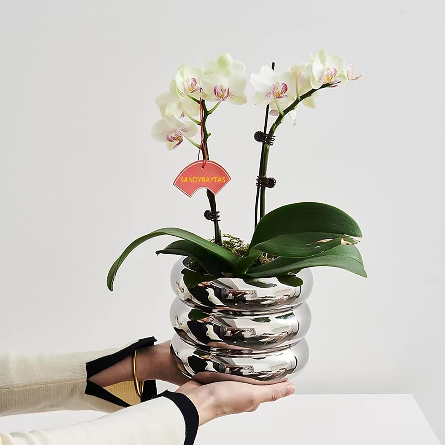 Ceramic Plant Pot Indoor / Silver / 4.7inch / 4.5 Inch