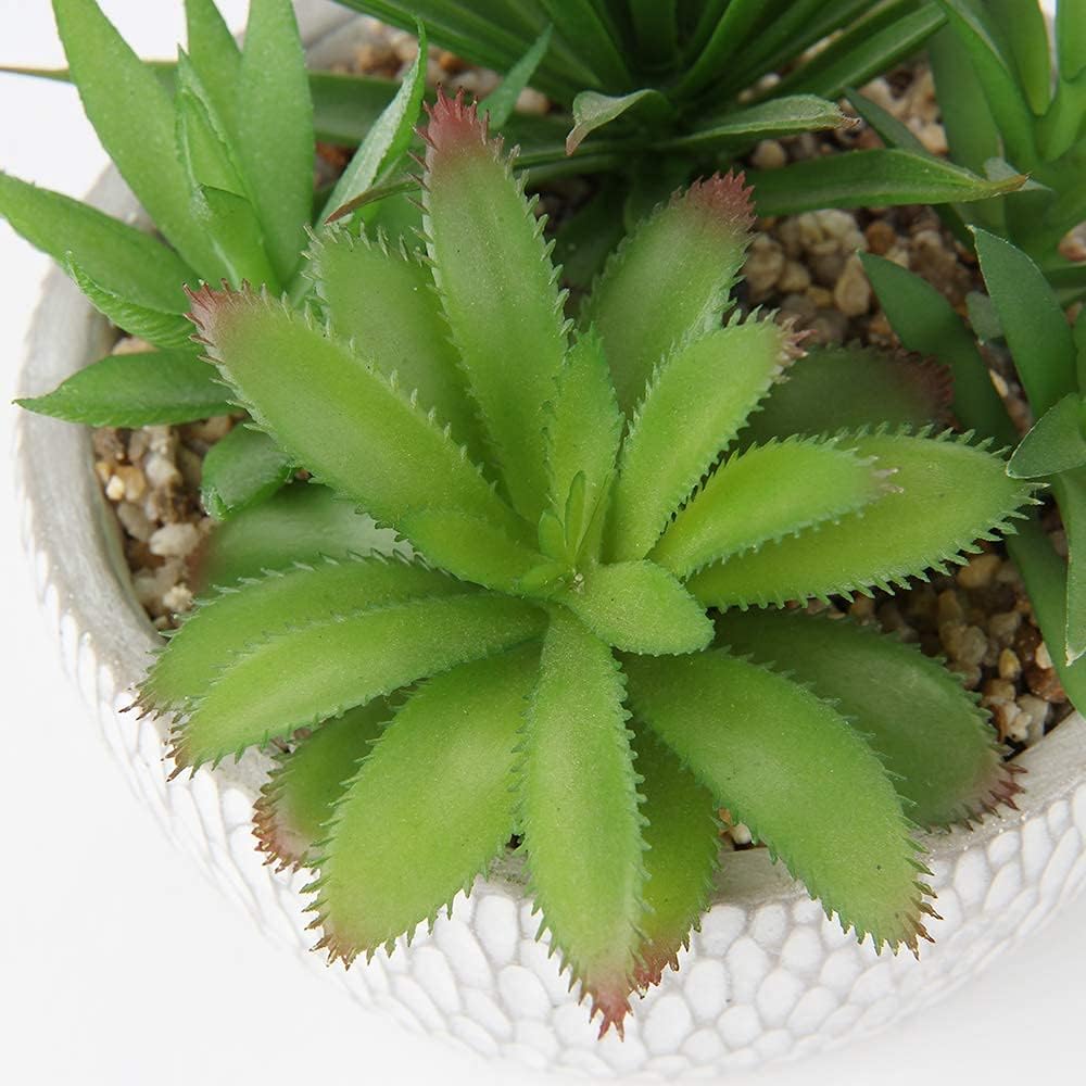 Small Fake Plants Assorted Faux Succulents in Pots Realistic Succulents Plants / Succulent #01