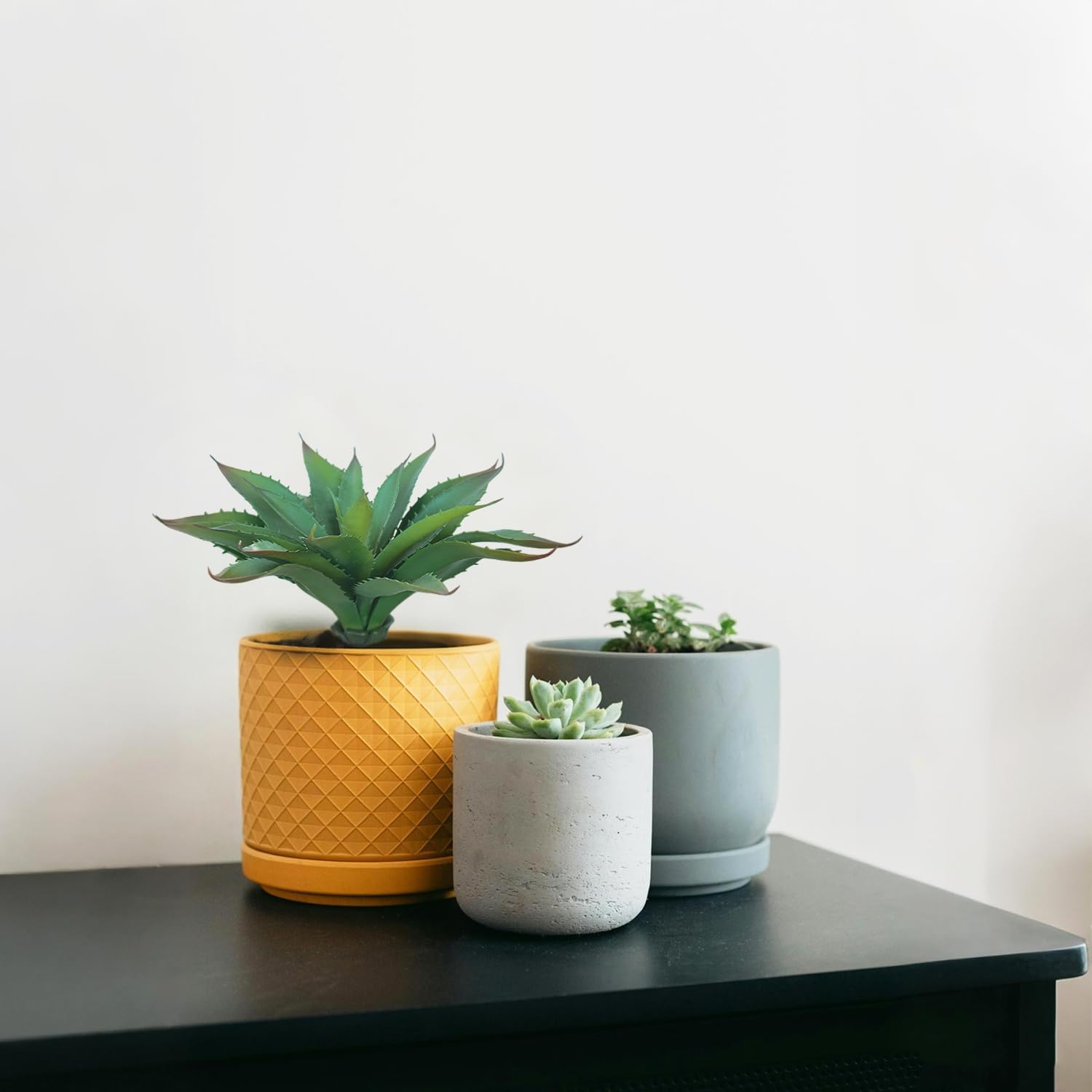 Artificial Aloe Vera Plant / Green / 11 Inch