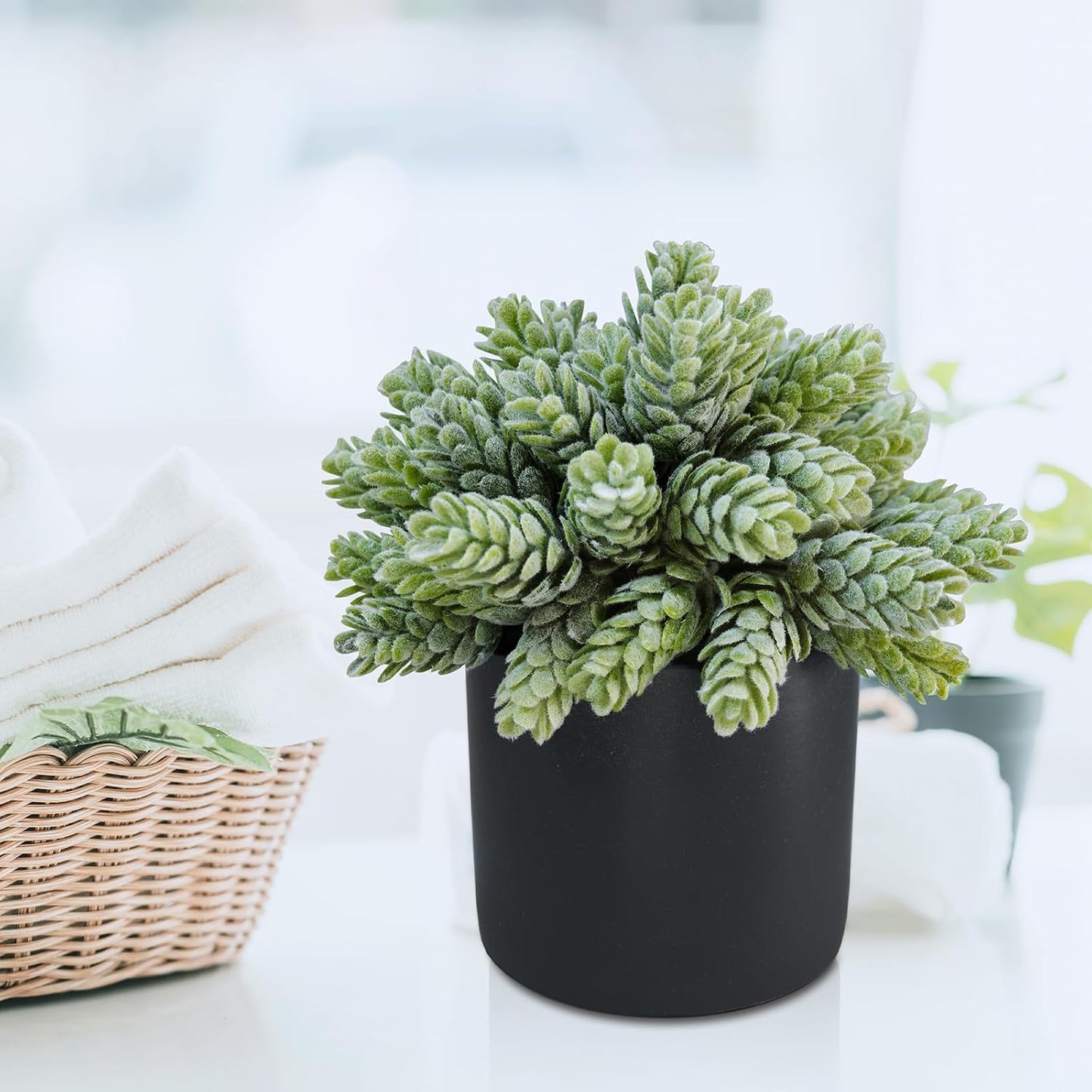 Small Artificial Potted Succulent Plants Faux Aloe Hops String / Black Ceramic Pots / Set of 3