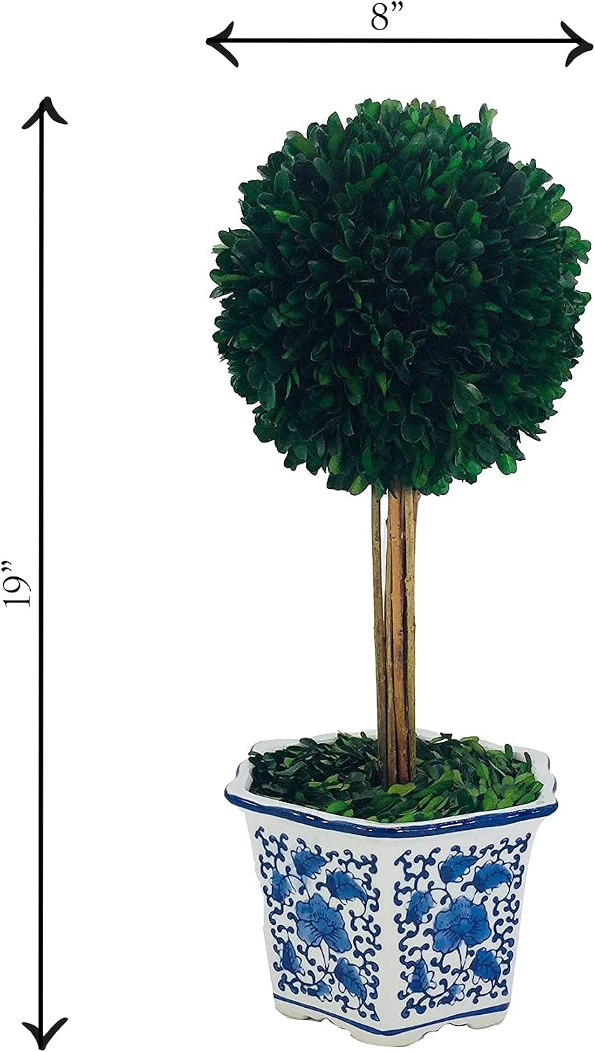 Naturally Preserved Boxwood Ball Topiary Tree in Hand / Hexagonal Pot Large 19" Topiary / Blue