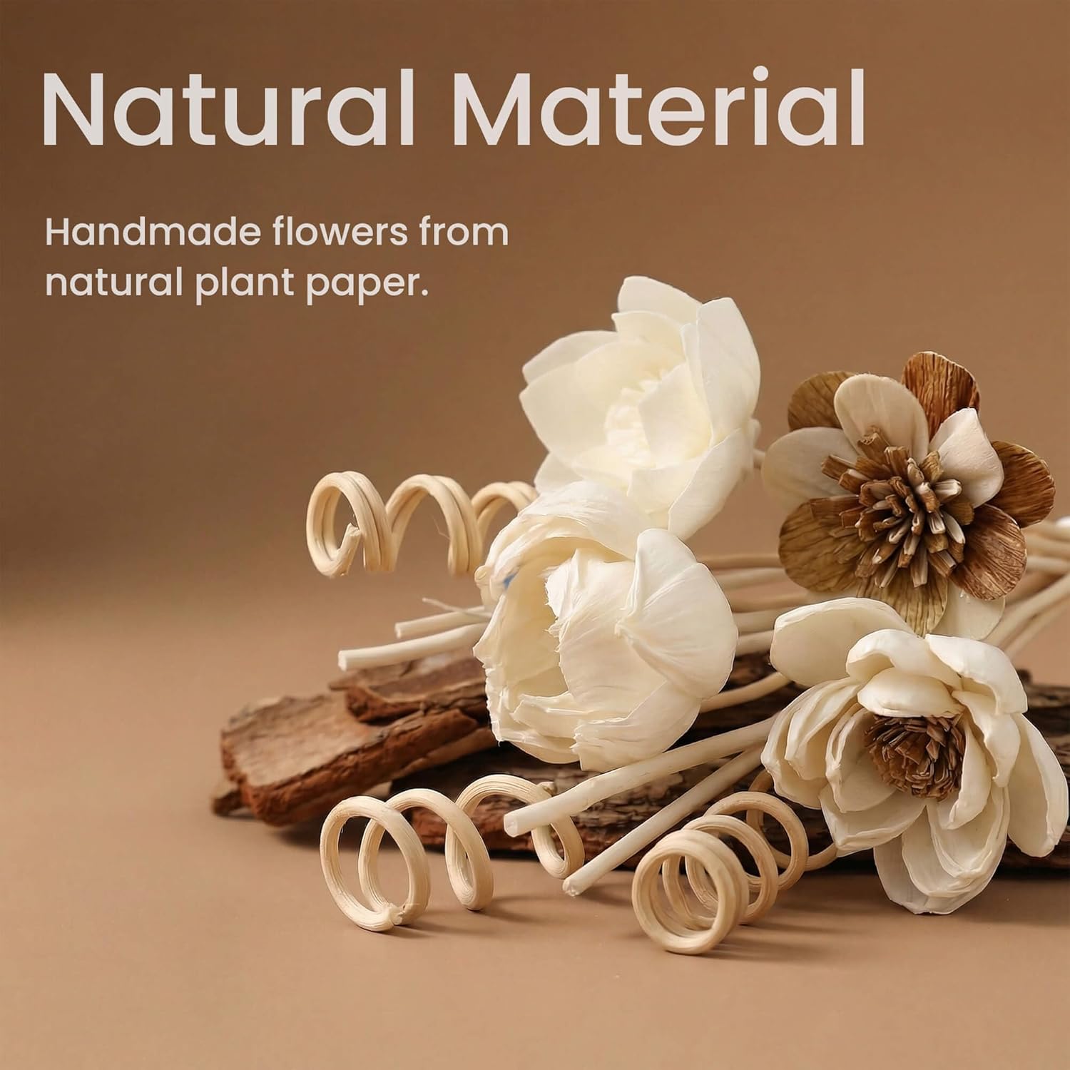 Flower Diffusers / Reed Diffuser Sticks / Natural / Set of 12