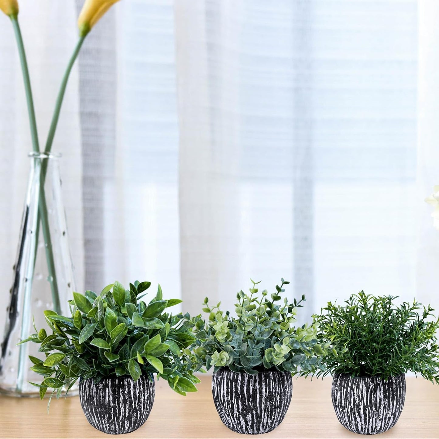 Artificial Potted Plants Faux Eucalyptus Rosemary Boxwood Greenery in & White / Black / Set of 3