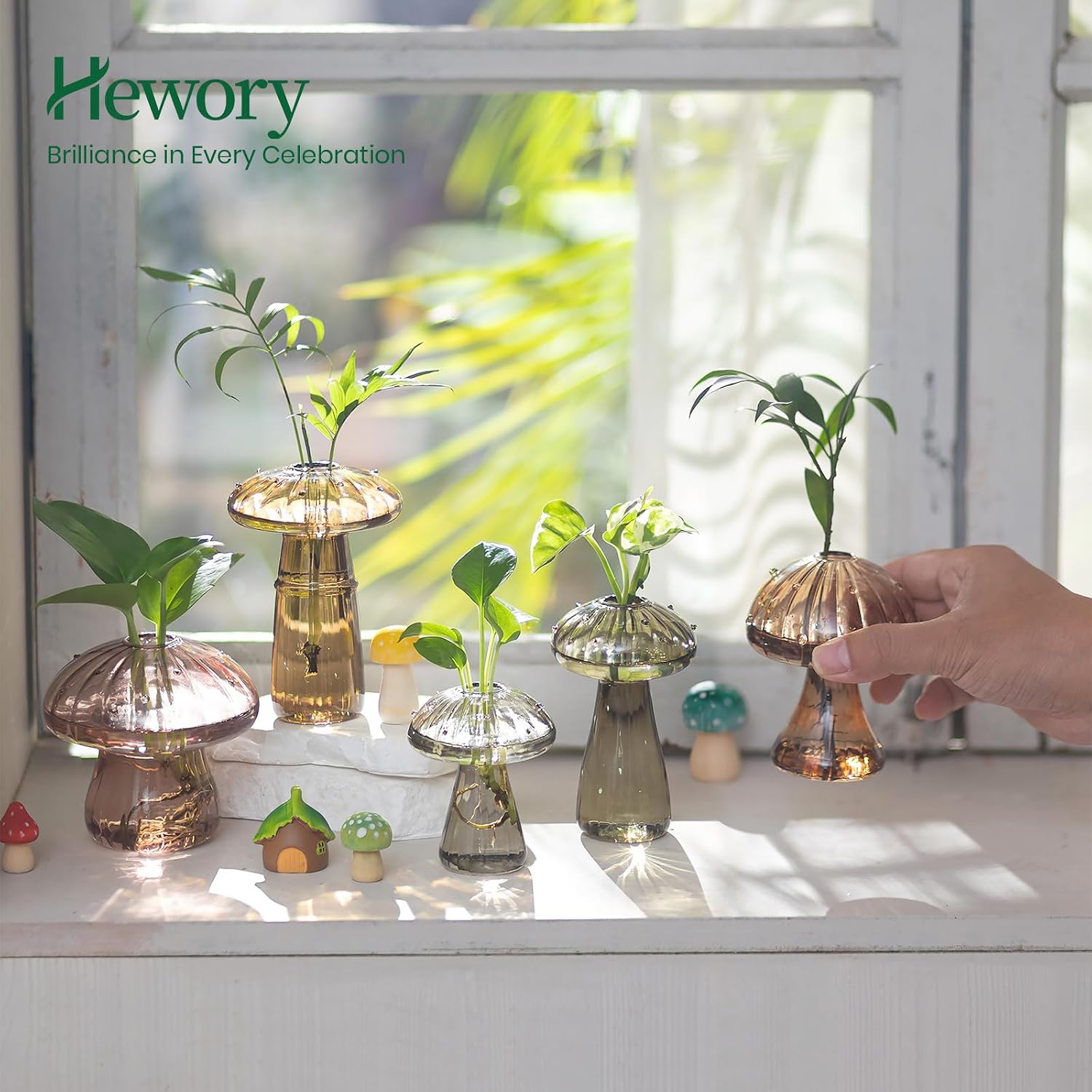 Unique Propagation Jars Glass Planter / Multi-amber / Set of 5