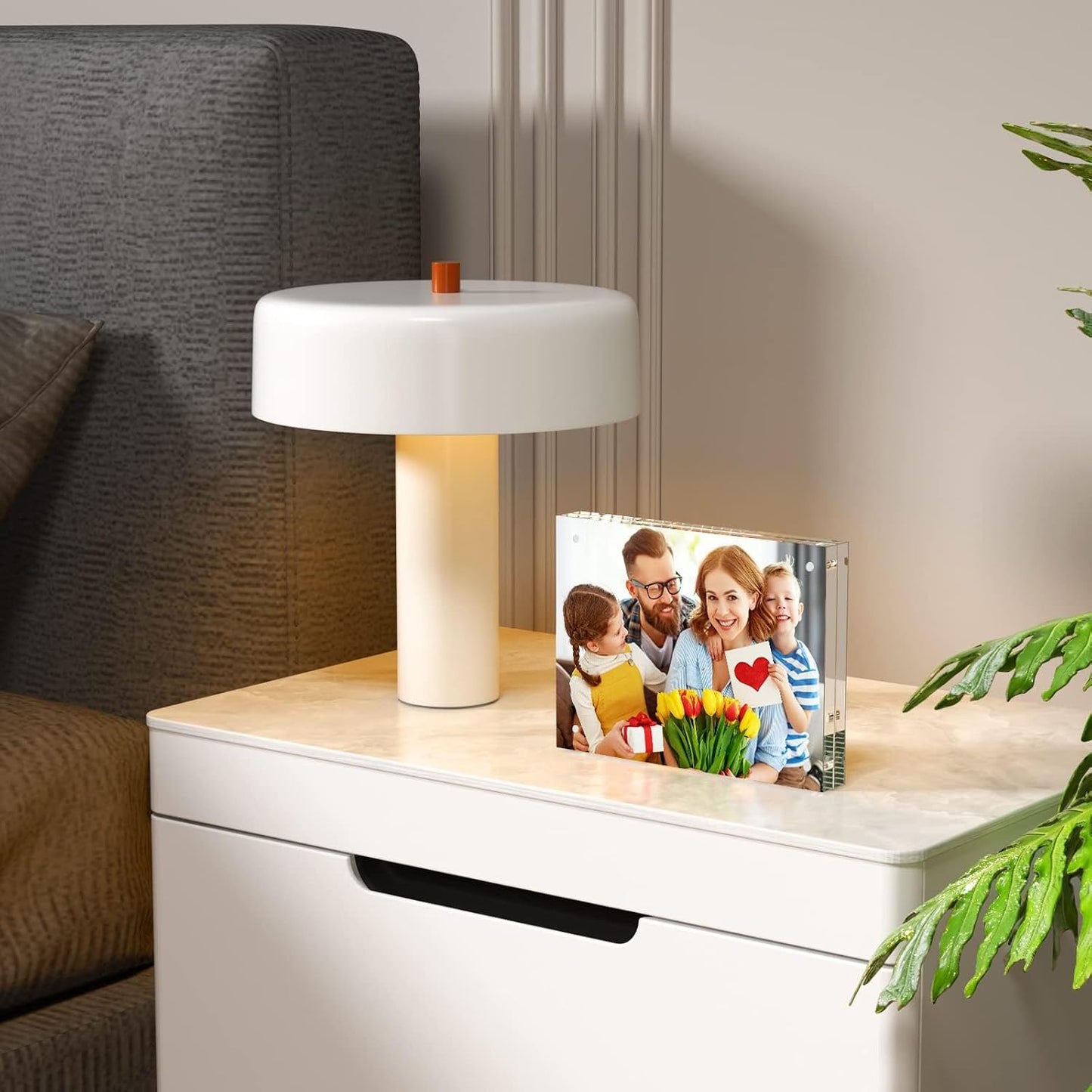 NIUBEE Acrylic Photo Frame 6x8, Double Sided Magnetic Blocks Pet Picture Frame