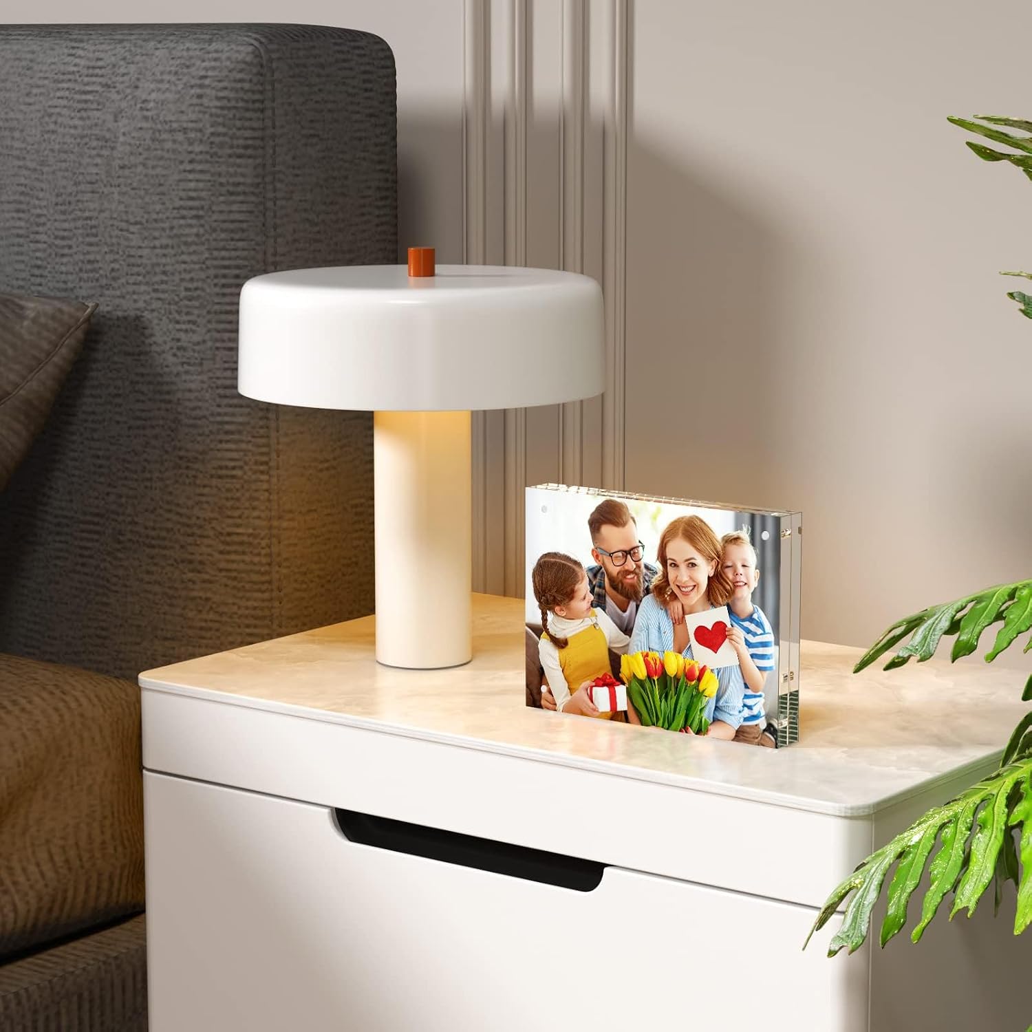 NIUBEE Acrylic Photo Frame 6x8, Double Sided Magnetic Blocks Pet Picture Frame