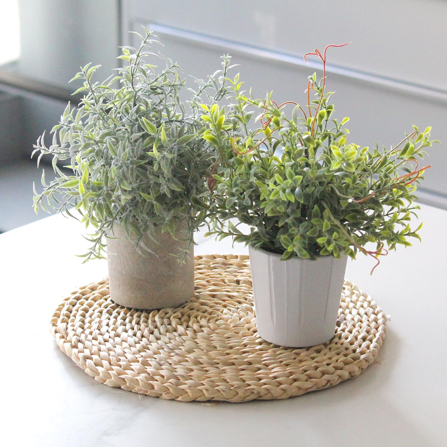 Artificial Plants Indoor / Harb / White / Set of 3