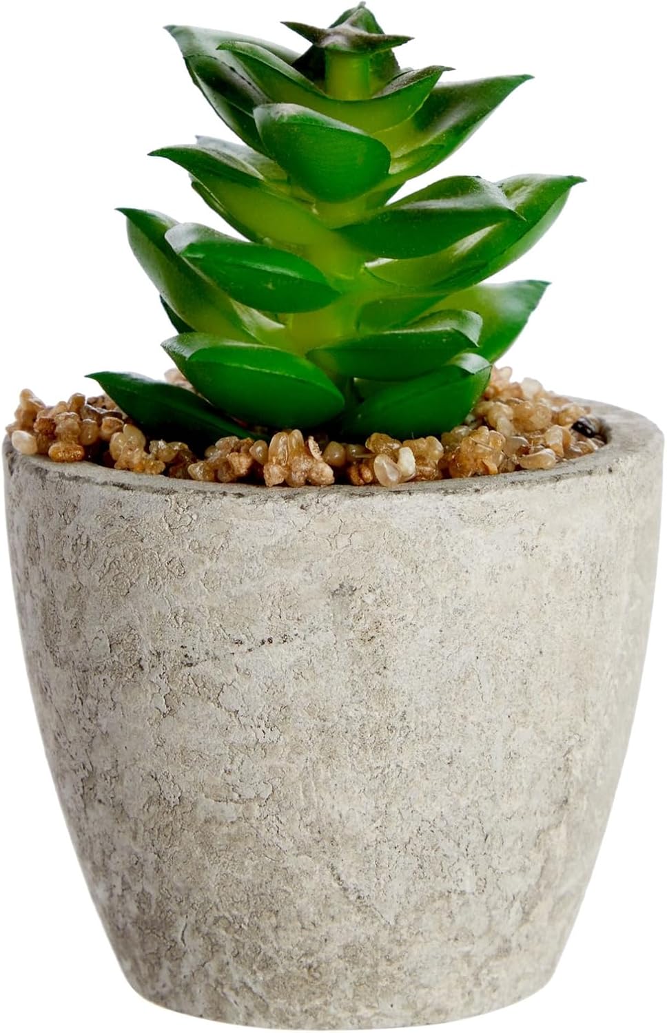 Maintenance-Free Artificial Plants