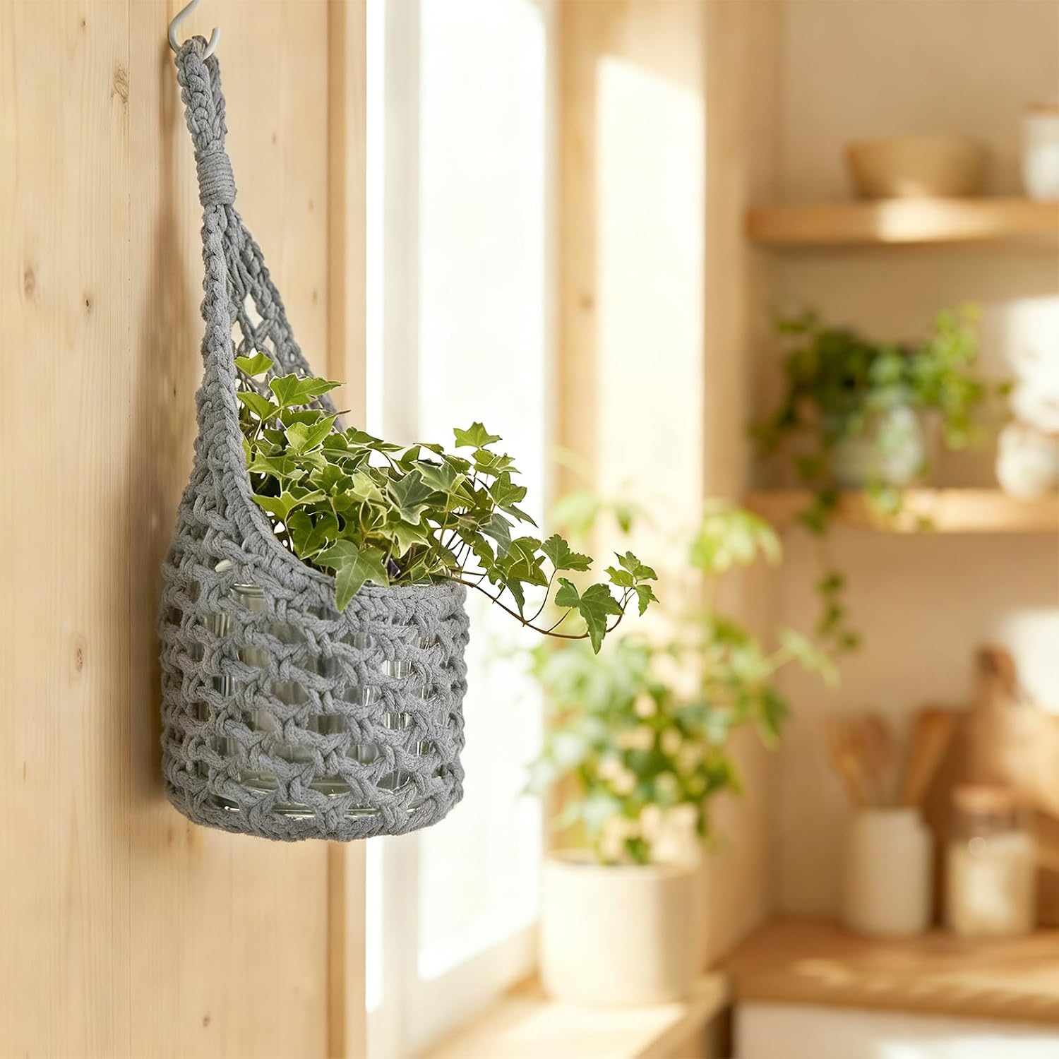 Macrame Wall Plant Hanger / Gray / 6-inch / 6 Inch