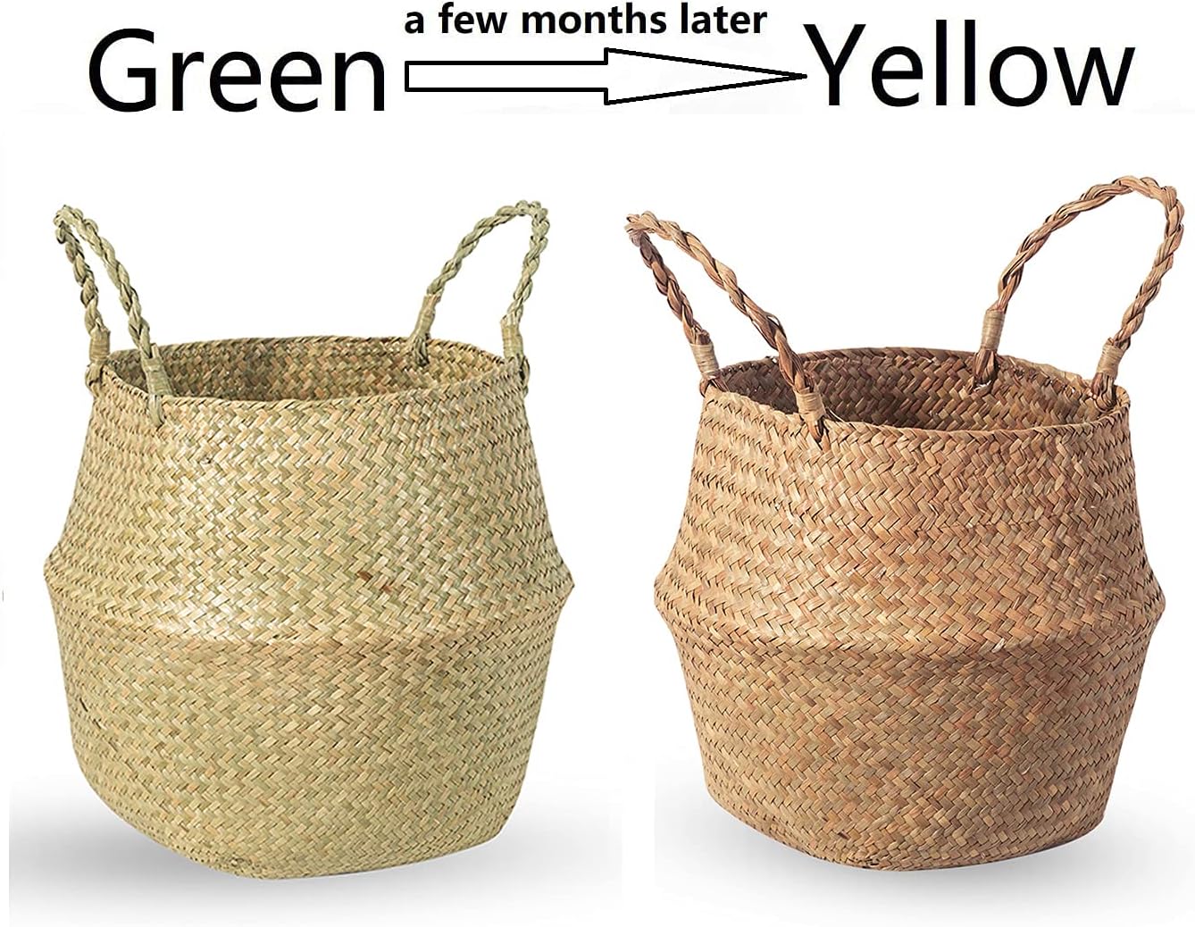 Seagrass Belly Basket / M / Set of 2