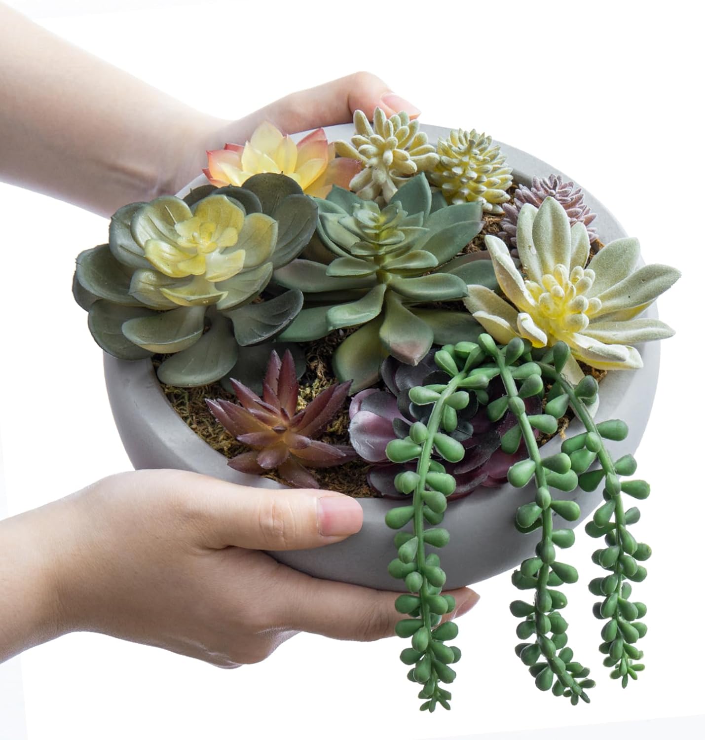 Round Modern Artificial Succulent Arrangement Potted in Gray Concrete Plant Bowl / Grey / 8 Inch